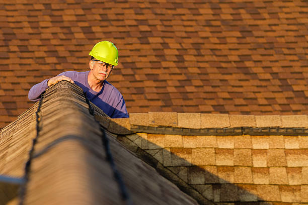 Best New Roof Installation  in Citrus Park, FL